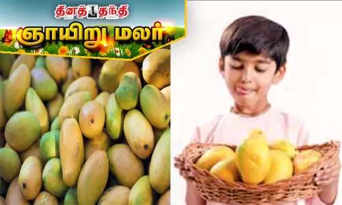 மாம்பழம் சாப்பிடும் போது...