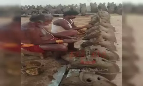 எம்.சூரக்குடியில்  செகுட்டு அய்யனார் கோவிலுக்கு தயாராகும் புரவிகள்