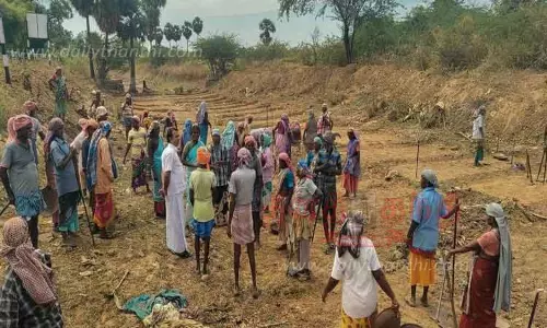 100 நாள் வேலைவாய்ப்பு திட்டப் பணிகள் ஆய்வு 100 நாள் வேலைவாய்ப்பு திட்டப் பணிகள் ஆய்வு