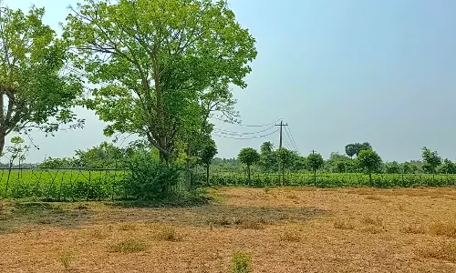 தாழ்வாக செல்லும் மின்கம்பிகள் தாழ்வாக செல்லும் மின்கம்பிகள்