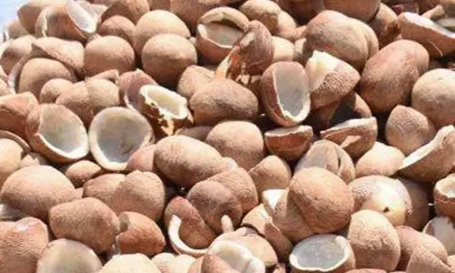 கொப்பரை விலை தொடர் வீழ்ச்சி