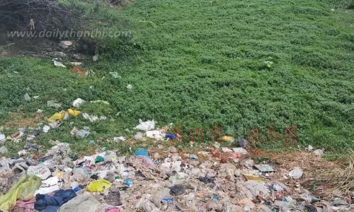 புதர் சூழ்ந்த குட்டையில் இறைச்சி கழிவுகள்