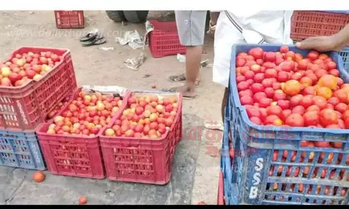 தக்காளி விலை உயர்வு