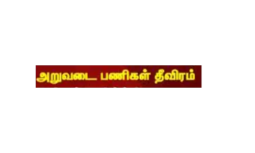 எள் அறுவடை பணி தீவிரம்