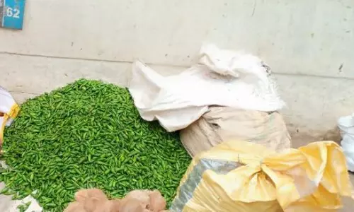 கம்பம் உழவா் சந்தையில்வரத்து குறைவால் காய்கறிகள் விலை உயர்வு:மிளகாய் கிலோ ரூ.135-க்கு விற்பனை