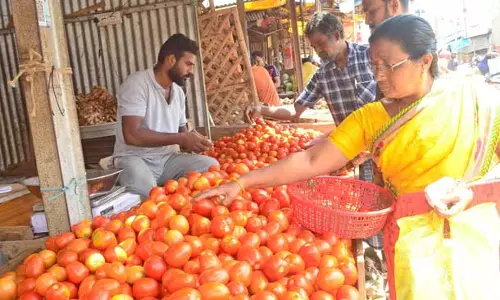 தக்காளி கிலோ ரூ.135-க்கு விற்பனை