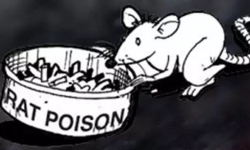 எலி பேஸ்ட் விற்க, பயன்படுத்த முற்றிலுமாக தடை