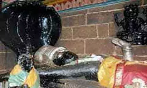 ஈரோடு கோட்டை கோவிலில் பெருமாளுக்கு தைல காப்பு