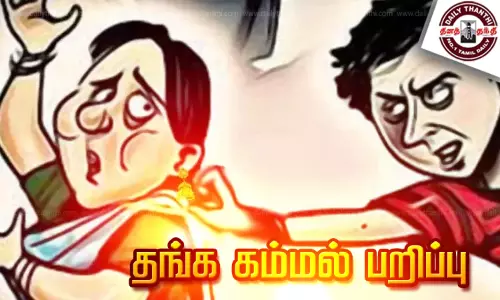 ரூ.3½ லட்சம் தங்கச்சங்கிலி கொள்ளை