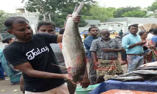 வரத்து அதிகரித்தும் குறையாத மீன்கள் விலை