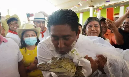 மெக்சிகோவில் வினோதம்; பெண் முதலையை திருமணம் செய்த மேயர் மெக்சிகோவில் வினோதம்; பெண் முதலையை திருமணம் செய்த மேயர்