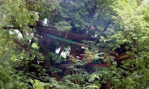 சேதம் அடைந்த பரண் சீரமைக்கப்படுமா?