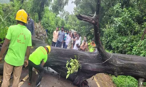 கூடலூர் பகுதியில் பலத்த மழை-மரம் விழுந்து போக்குவரத்து பாதிப்பு
