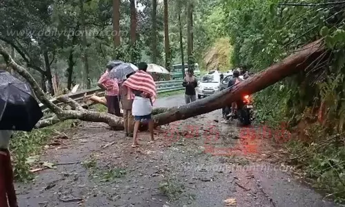 மரம் விழுந்து போக்குவரத்து பாதிப்பு
