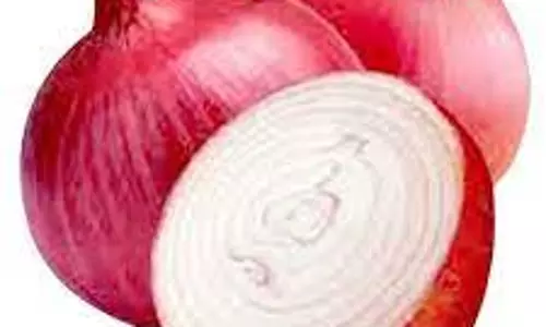 தர்மபுரி உழவர் சந்தையில் சின்ன வெங்காயம் விலை உயர்வு