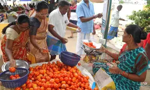 தக்காளி விலை கிடுகிடு உயர்வு