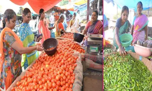 ஈரோடு மார்க்கெட்டில் பச்சை மிளகாய் கிலோ ரூ.120-க்கு விற்பனை ஈரோடு மார்க்கெட்டில் பச்சை மிளகாய் கிலோ ரூ.120-க்கு விற்பனை