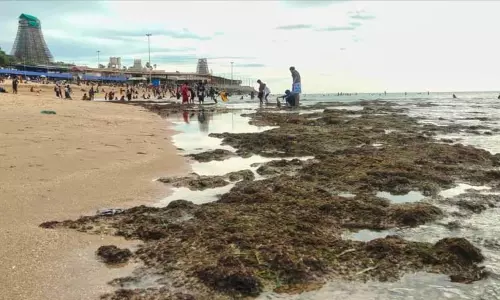 திருச்செந்தூரில் கடல் உள்வாங்கியது திருச்செந்தூரில் கடல் உள்வாங்கியது