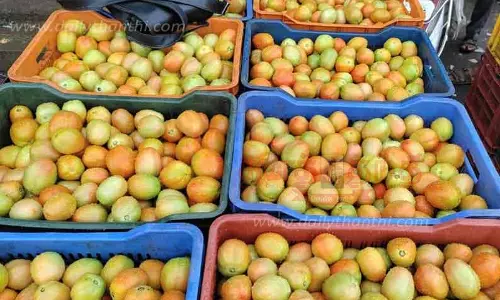 மாரண்டஅள்ளி பகுதியில் தக்காளி கிலோ ரூ.140-க்கு விற்பனைஇல்லத்தரசிகள் அதிர்ச்சி