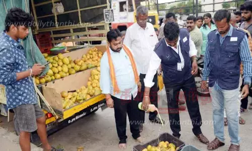 சாலையோர பழக்கடைகளில் அதிகாரிகள் திடீர் சோதனை 75 கிலோ தரமில்லாத மாம்பழங்கள் பறிமுதல் சாலையோர பழக்கடைகளில் அதிகாரிகள் திடீர் சோதனை 75 கிலோ தரமில்லாத மாம்பழங்கள் பறிமுதல்