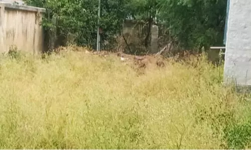 புதர்மண்டிக் கிடக்கும் அரசு ஆஸ்பத்திரி வளாகம்