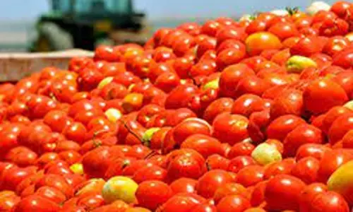 ராக்கெட் வேகத்தில் விலை உயர்வு - தக்காளி கிலோ ரூ.130-க்கு விற்பனை