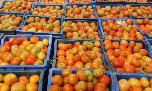 தக்காளி விலை சற்று குறைந்தது