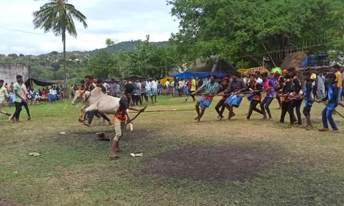 மலை கிராமத்தில் எருது கட்டும் திருவிழா