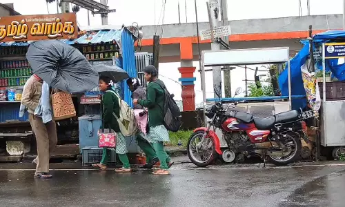 கொடைக்கானலில் பலத்த காற்றுடன் மழை; மரக்கிளைகள் விழுந்து மின்கம்பிகள் சேதம் கொடைக்கானலில் பலத்த காற்றுடன் மழை; மரக்கிளைகள் விழுந்து மின்கம்பிகள் சேதம்