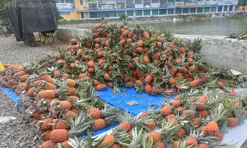 அன்னாசி பழங்கள் விற்பனை அமோகம்