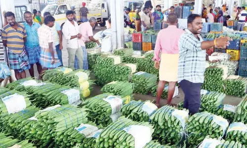 தென்னம்பாளையம் மார்க்கெட்டில்  குவிந்த 10 டன் பீர்க்கங்காய்