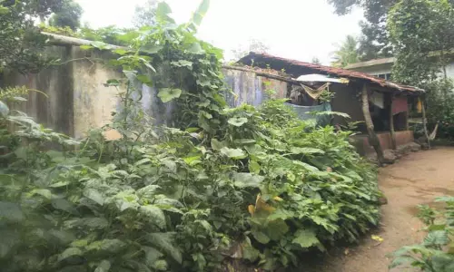 புதர் சூழ்ந்த வீடுகளில் வசிப்பதால் அச்சம்:புதிதாக தொகுப்பு வீடுகள் கட்டித்தர வேண்டும்-ஆதிவாசி மக்கள் கோரிக்கை