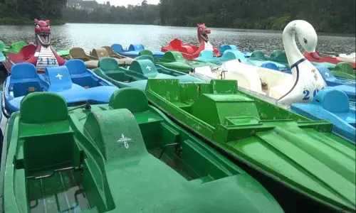 அவலாஞ்சியில் 20 சென்டிமீட்டர் மழை கொட்டி தீர்த்தது:ஊட்டியில் படகு சவாரி ரத்து-சுற்றுலா பயணிகள் ஏமாற்றத்துடன் திரும்பிச் சென்றனர்