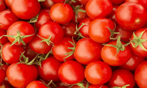 பாவூர்சத்திரம் மார்க்கெட்டில் தக்காளி 1 கிலோ ரூ.90-க்கு விற்பனை பாவூர்சத்திரம் மார்க்கெட்டில் தக்காளி 1 கிலோ ரூ.90-க்கு விற்பனை