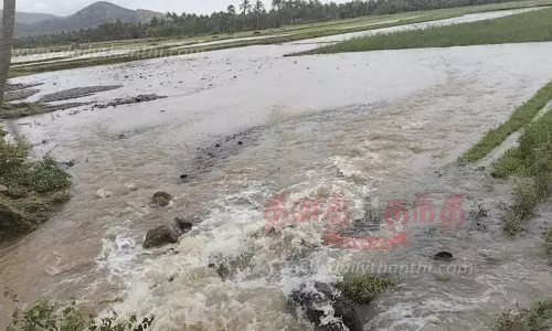 செங்கோட்டை அருகே குளத்தின் கரையில் திடீர் உடைப்பு செங்கோட்டை அருகே குளத்தின் கரையில் திடீர் உடைப்பு