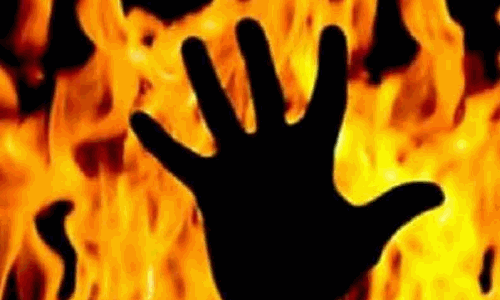 தென்னை மரங்கள் தீயில் எரிந்து நாசம்