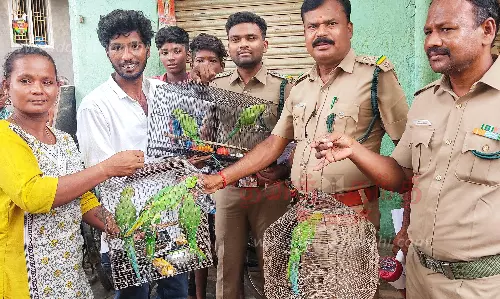 மதுரையில் வீடுகளில் கிளிகள் வளர்க்க தடை