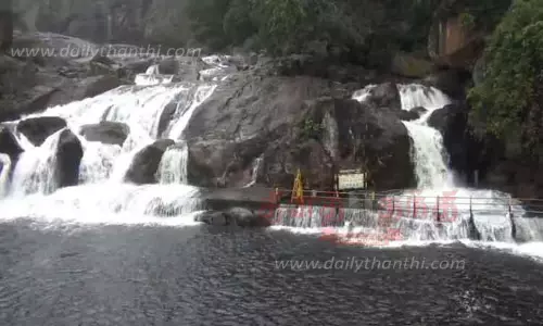 மணிமுத்தாறு அருவியில் வெள்ளப்பெருக்கு