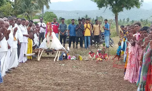 தலைவாசல் அருகே மழைவேண்டி கிராம மக்கள் சிறப்பு பூஜைசாம்பிராணி புகையால் தேனீக்கள் கொட்டி 26 பேர் காயம்