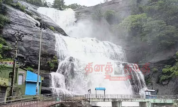 5 வட்டாரத்தில் பள்ளிகளுக்கு விடுமுறை; குற்றாலம் மெயின் அருவியில் குளிக்க தடை நீடிப்பு 5 வட்டாரத்தில் பள்ளிகளுக்கு விடுமுறை; குற்றாலம் மெயின் அருவியில் குளிக்க தடை நீடிப்பு