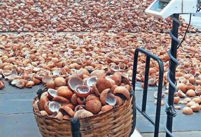 திருச்செங்கோடடில் ரூ.5 லட்சத்துக்கு கொப்பரை தேங்காய் ஏலம்