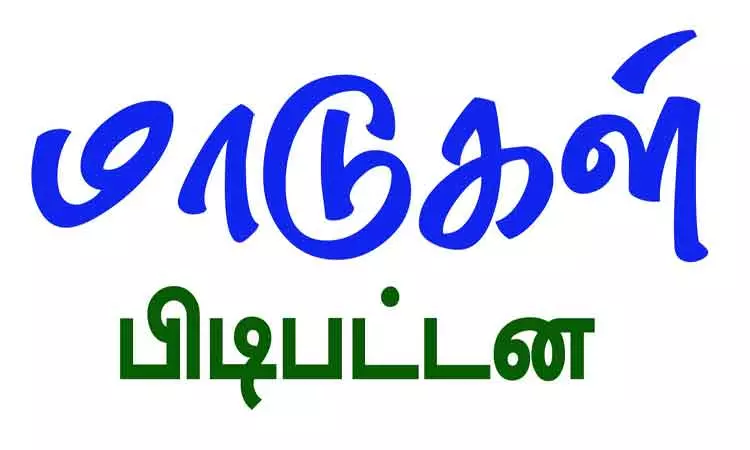 சாலையில் சுற்றித்திரிந்த மாடுகள் பிடிக்கப்பட்டன சாலையில் சுற்றித்திரிந்த மாடுகள் பிடிக்கப்பட்டன