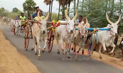 கோவில் விழாவையொட்டி மாட்டுவண்டி பந்தயம் கோவில் விழாவையொட்டி மாட்டுவண்டி பந்தயம்