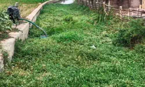 புதர் மண்டி கிடக்கும் ராஜவாய்க்கால்