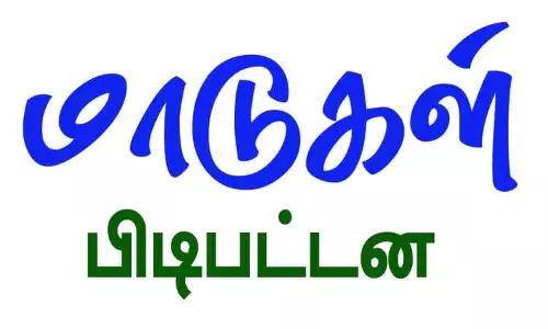 சாலையில் சுற்றித்திரிந்த மாடுகள் பிடிக்கப்பட்டன