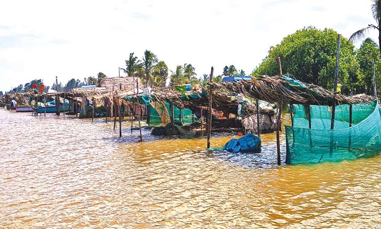 Seawater entered the residences due to sudden sea rage in Marakkanam ...