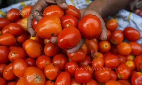 ரேஷன் கடைகளில் தக்காளி விற்பனை செய்ய நடவடிக்கை எடுக்க வேண்டும்