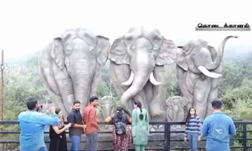 பில்லர் ராக் சுற்றுலா தளத்தில் தத்ரூபமான யானைகள் உருவம் - ஆர்வத்துடன் பார்த்துச் செல்லும் சுற்றுலா பயணிகள்