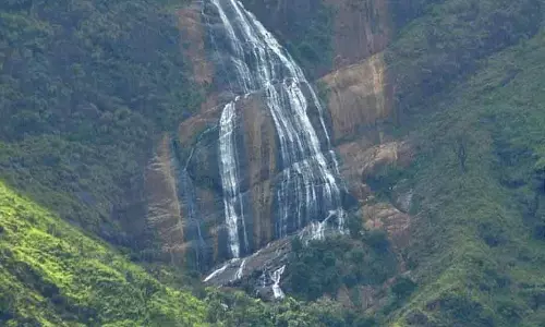 கொடைக்கானலில் சாரல் மழை கொடைக்கானலில் சாரல் மழை