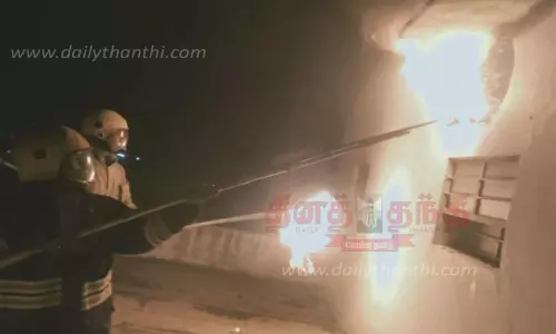 விஷ வண்டுகள் தீ வைத்து அழிப்பு